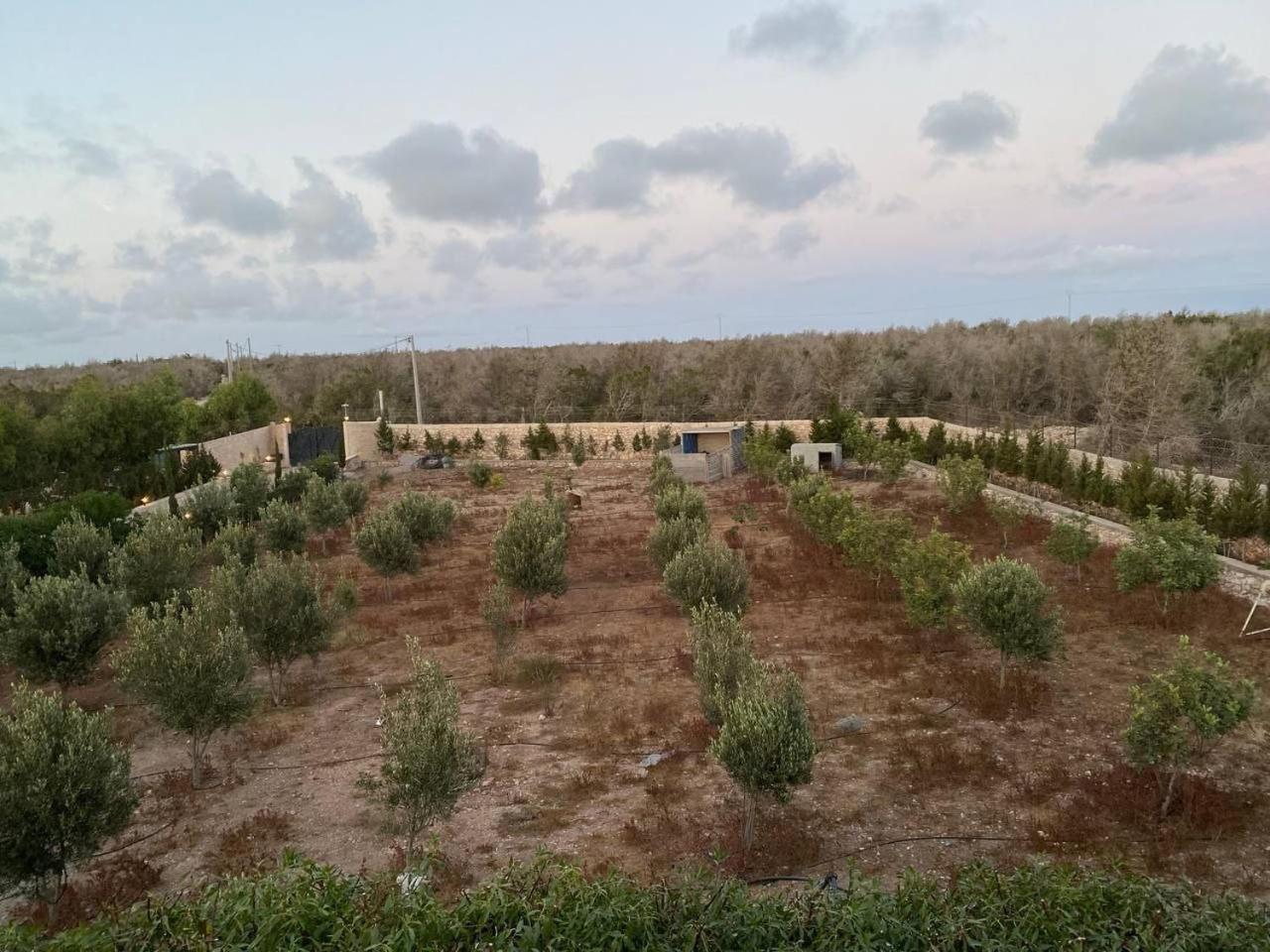 Villa Laarich Essaouira Exteriör bild